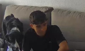 Seasoning Bottle Spills All Over Food