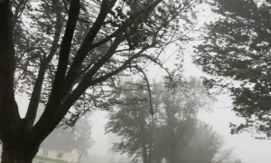 65 mph Straight Line Winds In NE Iowa