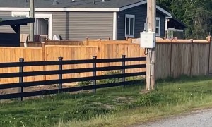 I Think He Wants to See What I'm Up To