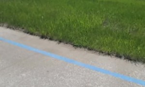 This Even Pushes the Limits of Glamping