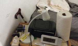 Raccoon Baby Pulled From Wall