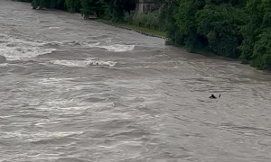 Catching A Giant River Wave