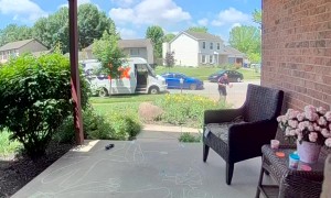 Apparent Porch Pirate Takes Package From Delivery Man
