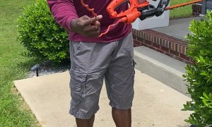 Showoff Slices Hedge Trimmer Cord