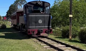 Train Conductor Clears The Path