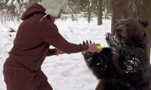 Man Entertains Bear By Juggling