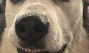 Don't Stop The Scratches