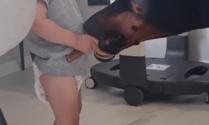 Baby Quality Tests Dog Bone