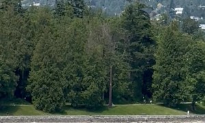 Collision Between Speed Boat and Float Plane