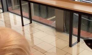 Waterfall In Grocery Store