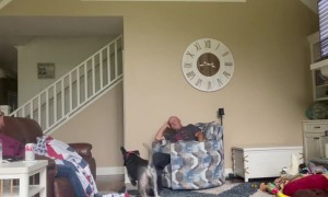 Tennis Balls Rain Down From Loft