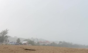 Three Boys Hit by Lightning on Beach