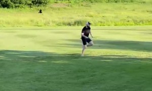 Bird Chases Golfer Away From Nest