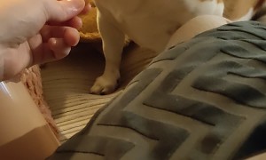 Dog Demands His Fries With Sauce