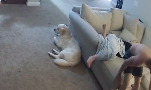 Chain Reaction of Unintentional Surprises