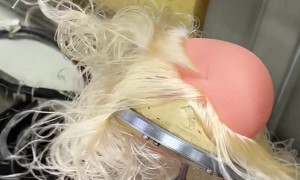 Doll Maker Inserts Eyes and Sews Hair