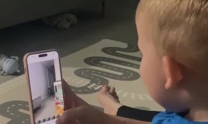 Toddler Laughs At Own Tumble