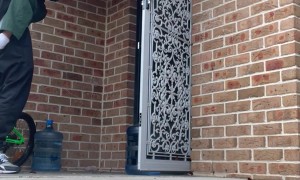 Dad Surprises Children After Work Trip