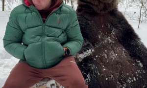 Bear Wants to Hold Hands