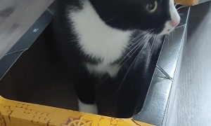 I Bought a New Lego Set, but It Came Pre-Assembled