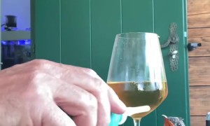 Man Hand-Feeds Baby Bird