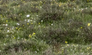 Huge Hail In Mountains