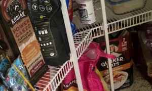 Little Parrot Makes a Big Mess