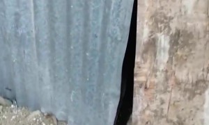 Monitor Lizard Monopolizes Toilet