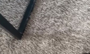 At Least He's Honest