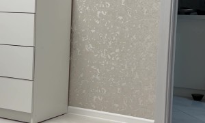 Pomeranian Turns Into Gymnast When Picked Up