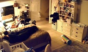 When Your Boyfriend Forgets You Have a Kitten