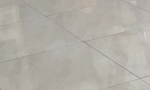 Kitties Walk Purr-fectly in Sync