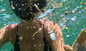 Plastic Reality Of Polluted Waters