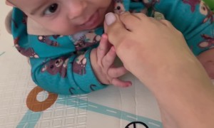 New Siblings Lick Mom's Toes