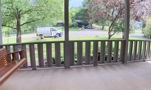 Mailman Hits Rock And Falls To Knees