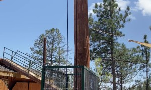 Clever Goat Wheels Up Treats