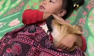 Little Girl Cuddles With Dog