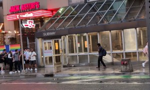 Woman Fails To Capture Hawk