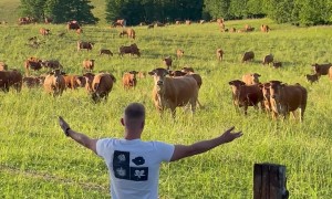 Man Gives Speech to Adoring Bovine Audience