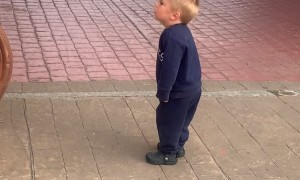 Boy Can't Stop Staring at Copper Man