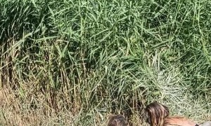 Mother And Son Hot Spring Spa Day