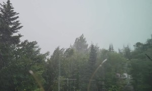 Lightning Strikes Tree During Thunderstorm