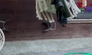 Friends Fall From Swinging Chair