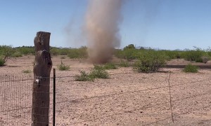 Life and Death of a Dust Devil