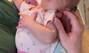 Baby Boy Sucks on Twin Sister's Thumb
