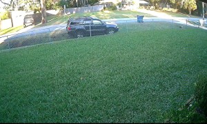 Purported Drunk Driver Crashes SUV