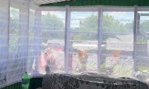 Flying Cat Doesn't Catch Bird