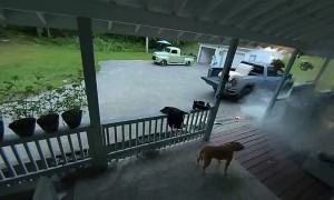 When You Like Your Steak Charred