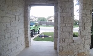 When Leaving the House Turns Into a Slapstick Comedy