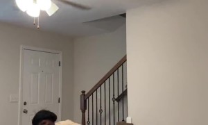 Man Stumbles Over Dog's Cage